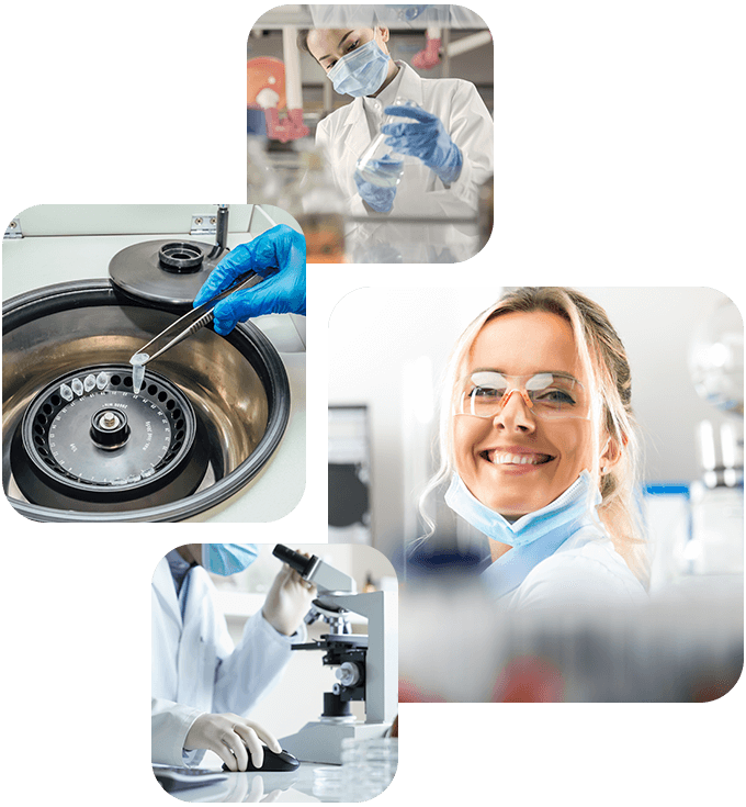 Experience https://borspray.com/wp-content/uploads/2020/06/experience_10-1.png