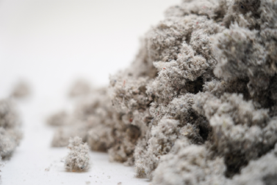 Borspray-img-7-400x267 https://borspray.com/wp-content/uploads/2023/06/Borspray-img-7-400x267-1.webp